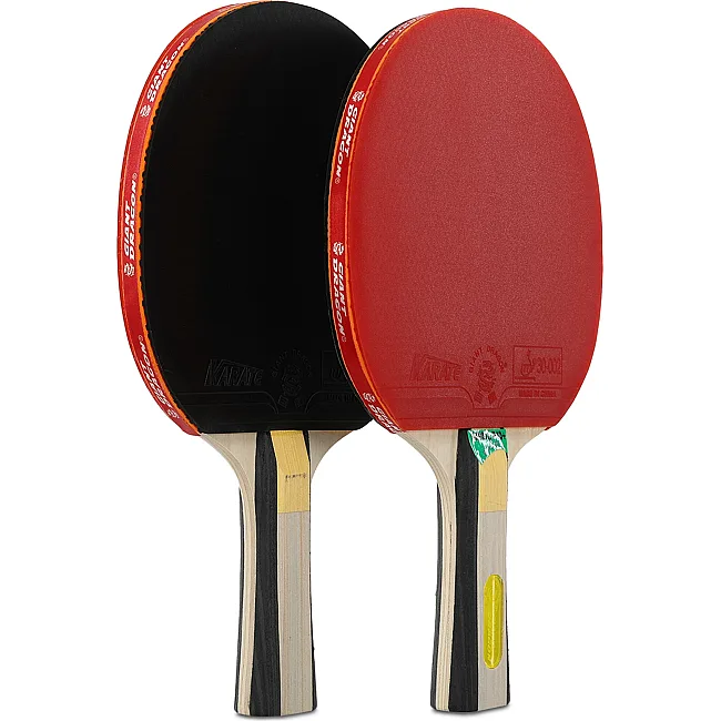 Набор для настольного тенниса GIANT DRAGON KARATE P40+ 4star MT-6546 с чехлом