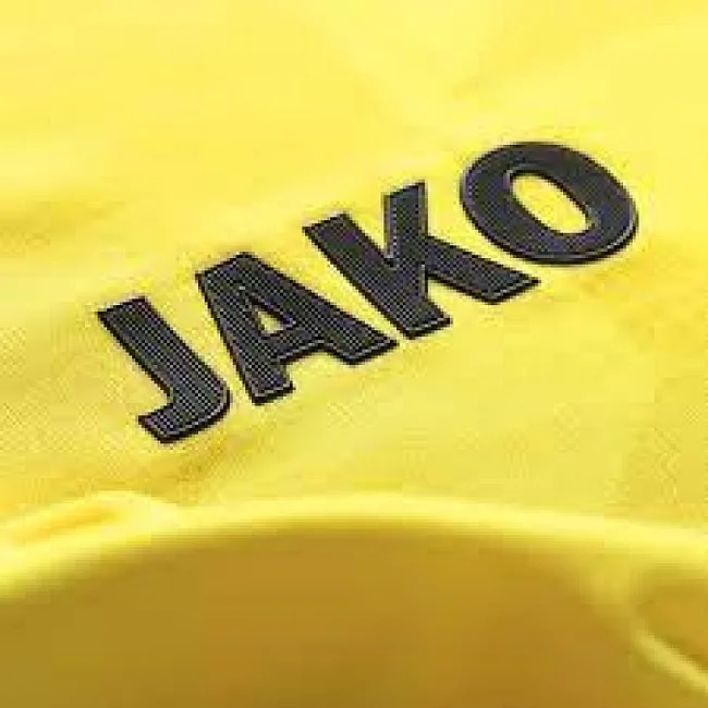Футболка vfb tw JAKO 8920011-03