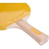 Набор для настольного тенниса PANTONE SPK1004