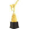 Фигура наградная спортивная SP-SPORT Каратист JZ19517B
