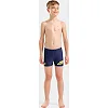 Плавки для мальчиков Arena LETTERING SWIM SHORT синий (для детей)