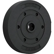 Диск битумный Zipro 2,5 кг