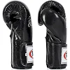 Боксерские перчатки Fairtex BGV5 Black (бинты в комплекте)