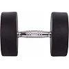 Гантель професійна
 з поліуретановим покриттям TECHNOGYM LN-1254-22_5 1шт 22,5кг