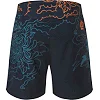 Шорти для ММА PERESVIT Koi Blue Orange Red