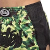 Шорти для тайського боксу та кікбоксингу FAIRTEX BS1710
