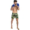 Шорти для тайського боксу та кікбоксингу FAIRTEX BS1710