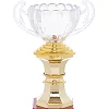 Спортивний кубок з ручками SP-SPORT C-895-3 23см