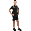 Спортивні шорти
 чоловічі JOMA

 CHAMPIONSHIP VII 103209-102 4XS-XXL (Чорний)