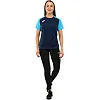 Футболка женская JOMA

 ACADEMY IV 901335-342 XXS
-L (Темно-синий-голубой)