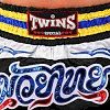 Шорты для кикбоксинга
 TWINS
 NTBS-004