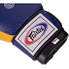 Рукавиці для боксу шкіряні FAIRTEX BO-3783