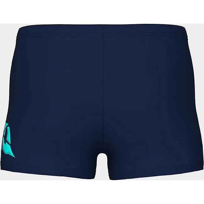 Плавки для мальчиков Arena LETTERING SWIM SHORT синий (для детей)