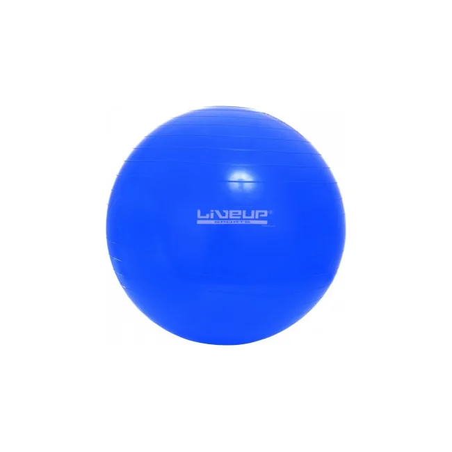 Фитбол GYM BALL 65см