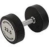 Гантель профессиональная с полиуретановым покрытием TECHNOGYM TG-1834-22_5 1шт 22,5кг