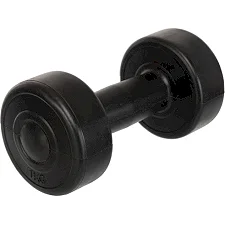 Гантель для фитнеса с PE покрытием ZELART TA-4759-1 1шт 1кг (Черный)