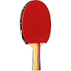 Ракетка для настольного тенниса в чехле MALIN RACKET 5star MT-5002