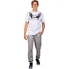 Футболка мужская ALPINESTARS SORE CO-4482 (Красный)