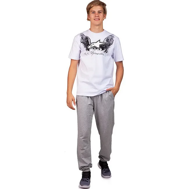 Футболка мужская ALPINESTARS SORE CO-4482 (Красный)