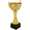 Спортивний кубок
 нагородний SP-SPORT
 Fortune X8032B
 32,5см