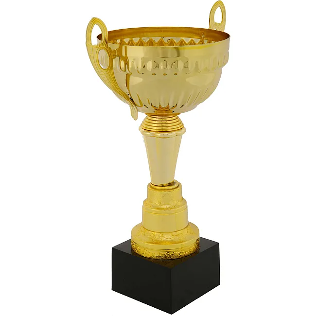 Спортивний кубок
 нагородний SP-SPORT
 Fortune X8032B
 32,5см