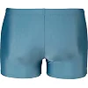 Плавки-шорты для мужчин Arena ZIP SWIM SHORT серый Чел 80