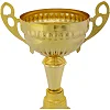 Спортивний кубок
 нагородний SP-SPORT
 Fortune X8032B
 32,5см