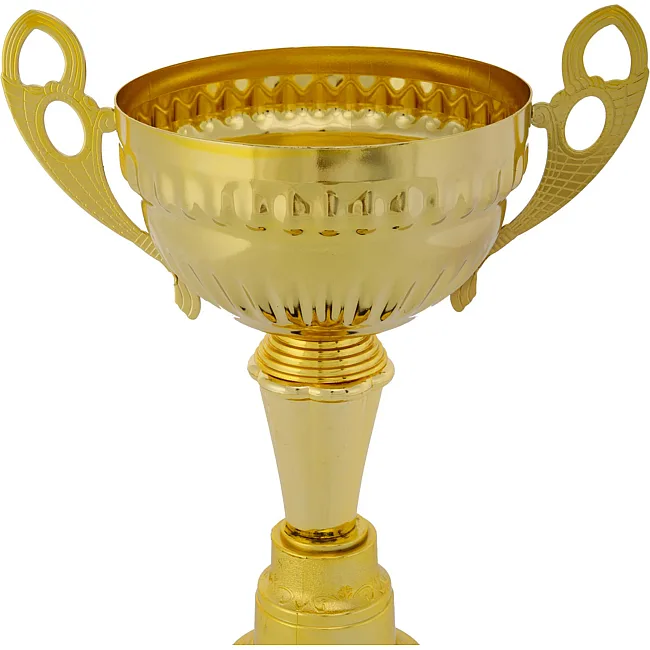 Спортивний кубок
 нагородний SP-SPORT
 Fortune X8032B
 32,5см