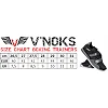 Кросівки V`NOKS Boxing Edition Grey