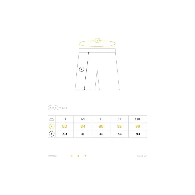 Спортивные шорты MANTO Mesh Alpha Black