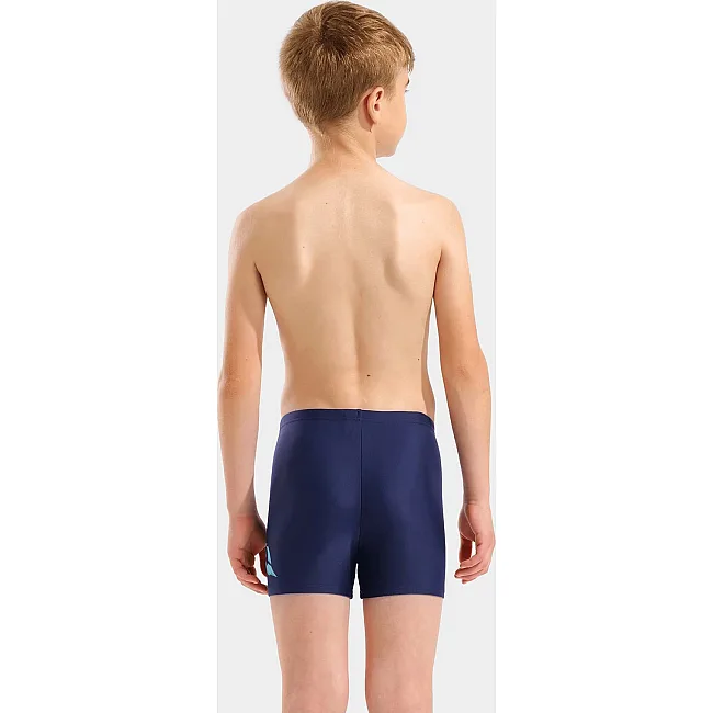 Плавки для мальчиков Arena LETTERING SWIM SHORT синий (для детей)