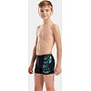 Плавки-шорты для мальчиков Arena TALES SWIM SHORT черный, бирюзовый (для детей)