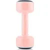 Гантели виниловые BODY SCULPTURE SMART BW 108D, 2 х 1 кг