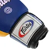 Рукавички для боксу


 шкіряні FAIRTEX
 FTX065 (Синьо-жовтий)