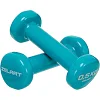 Гантели для фитнеса виниловые ZELART Beauty TA-5225-0_5 2шт 0,5кг (Бирюзовый)