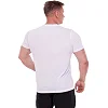 Футболка мужская LIDONG LD-0302 (Серый)
