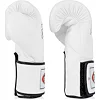 Рукавиці для боксу Fairtex BGV5 White