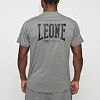 Мужская футболка LEONE Melange Grey