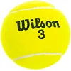 Тенісний м'яч WILSON AUSTRALIAN OPEN T1130 4шт