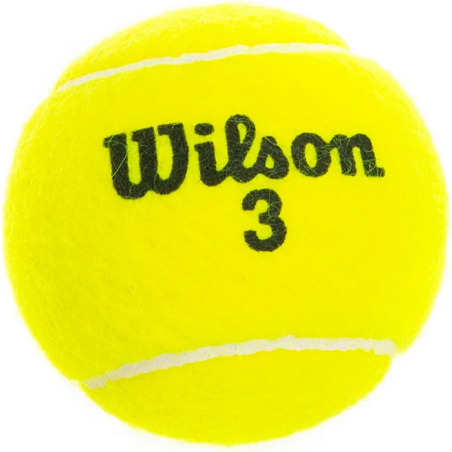 Тенісний м'яч WILSON AUSTRALIAN OPEN T1130 4шт