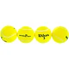 Тенісний м'яч WILSON AUSTRALIAN OPEN T1130 4шт