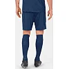 Спортивные шорты manchester 2.0 c104 JAKO 4400-09