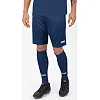 Спортивные шорты manchester 2.0 c104 JAKO 4400-09