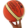 Баскетбольный мяч
 FOX BA-9804 Indoor/Outdoor
 7 (Оранжевый)