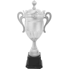 Спортивний кубок нагородний SP-SPORT DIADORAdem JZ195798 48,5см (Срібний)