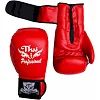 Боксерские перчатки Thai Professional BG3 Красные